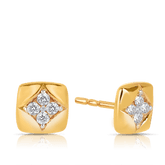 Diamond Stud Earrings in 9ct Yellow Gold TGW 0.06ct - Wallace Bishop