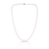 Freshwater Pearl Necklace in Sterling Silver - Wallace Bishop