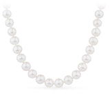 Freshwater Pearl Strand Necklace in 9ct Yellow Gold - Wallace Bishop