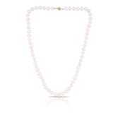 7mm Freshwater Pearl Strand Necklace with 9ct Yellow Gold Clasp