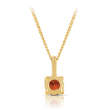 Garnet Round Pendant in 9ct Yellow Gold