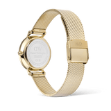 Daniel Wellington Petite Reflection Gold Watch