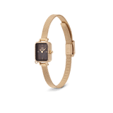 Daniel Wellington Quadro Mini Crystal Zodiac Evergold Watch