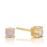 Moonstone Round Stud Earrings in 9ct Yellow Gold