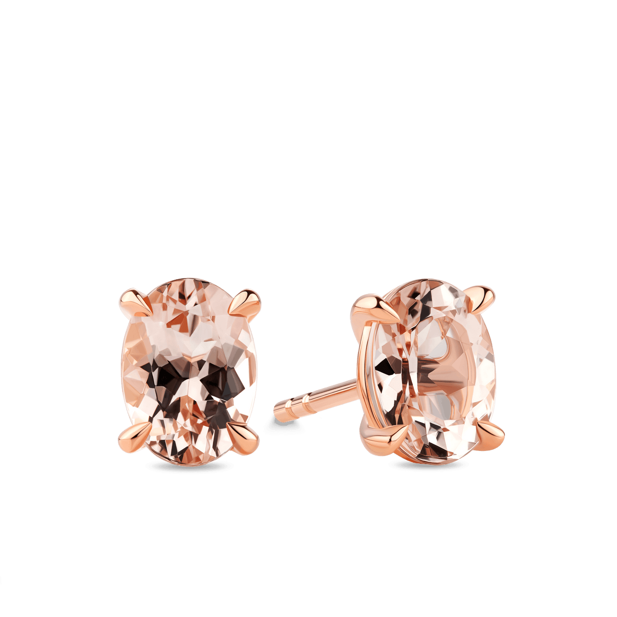 Morganite Oval Claw Set Stud Earrings in 9ct Rose Gold - Wallace Bishop