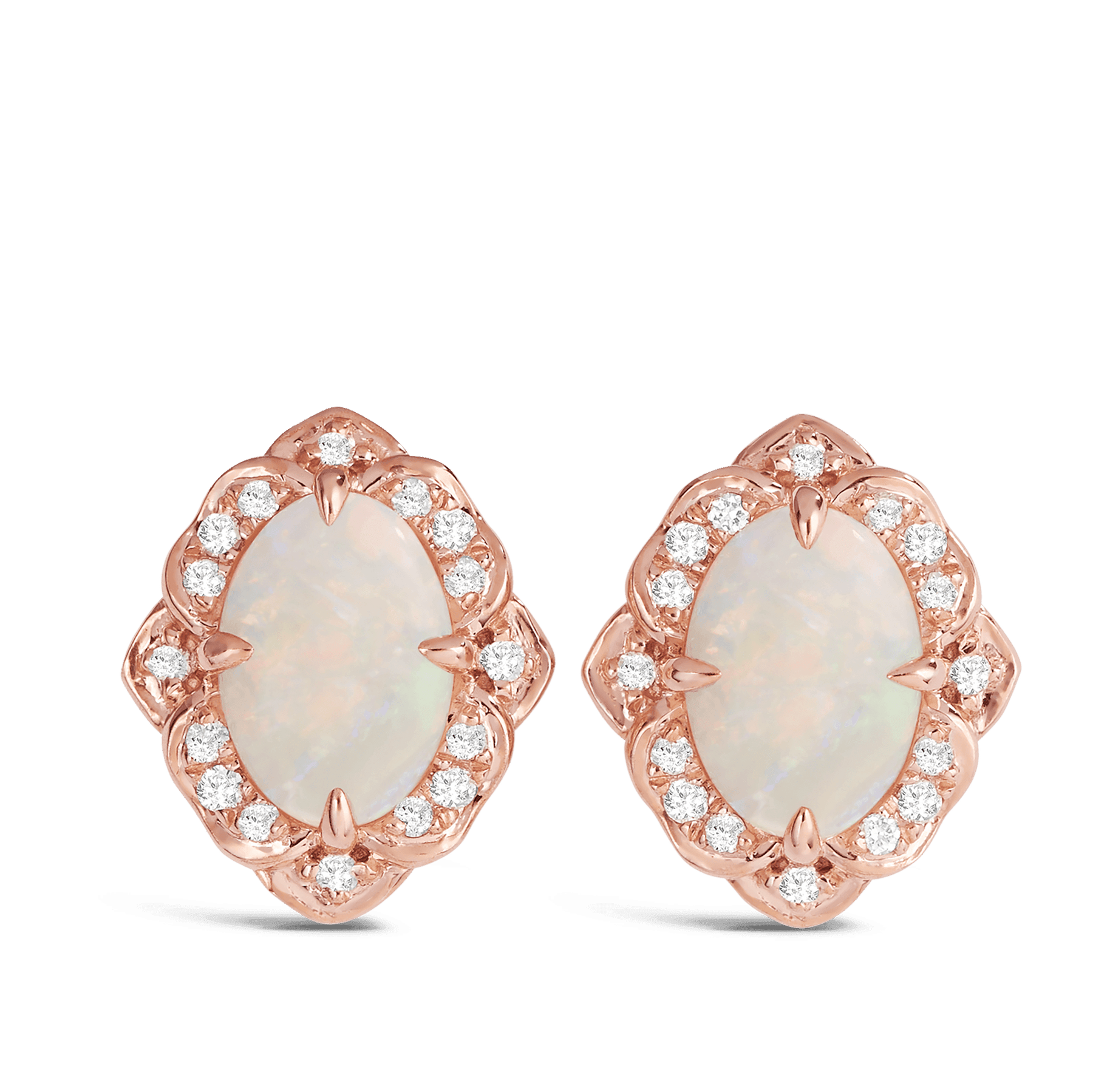 Opal and Diamond Oval Earrings in 9ct Rose Gold - Wallace Bishop