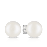 Pearl Stud Earrings set in Sterling Silver - Wallace Bishop