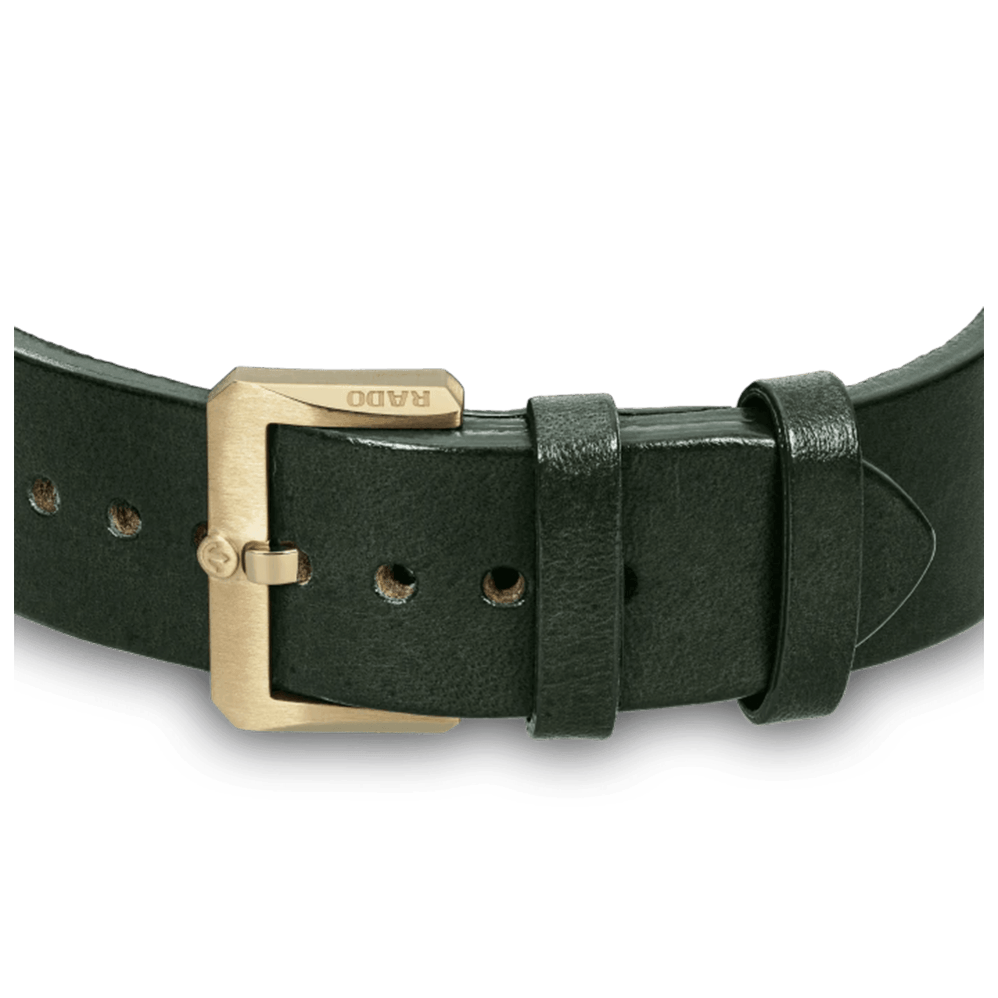 Rado Captain Cook Men's 42mm Bronze Automatic Watch R32504315