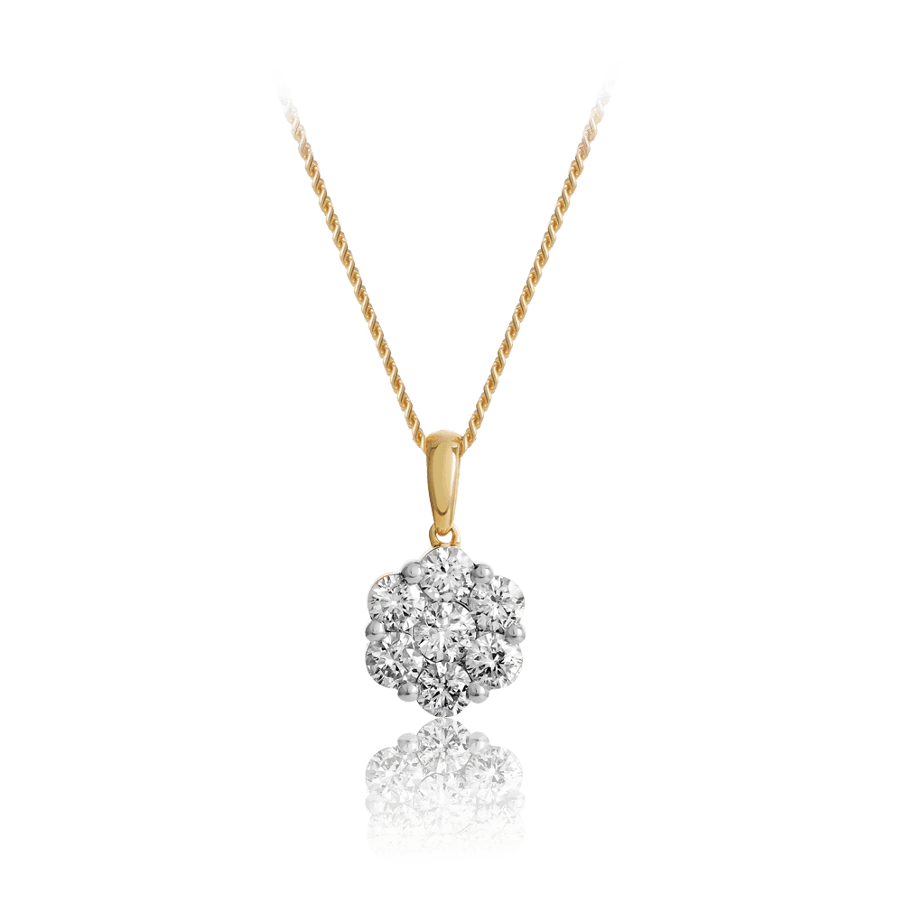 Round Brilliant Cut Diamond Pendant in 9ct Yellow Gold - Wallace Bishop