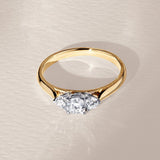 0.50ct TW Round Brilliant Cut Three Stone Diamond Engagement Ring in 18ct Yellow and White Gold