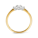 0.35ct TW Diamond Three Stone Engagement Ring in 9ct Yellow Gold