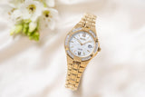 Seiko Conceptual & Regular Women's Gold PVD Solar Watch SUT428P