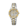 Seiko Conceptual & Regular Women's Two-Tone Solar Watch SUT426P