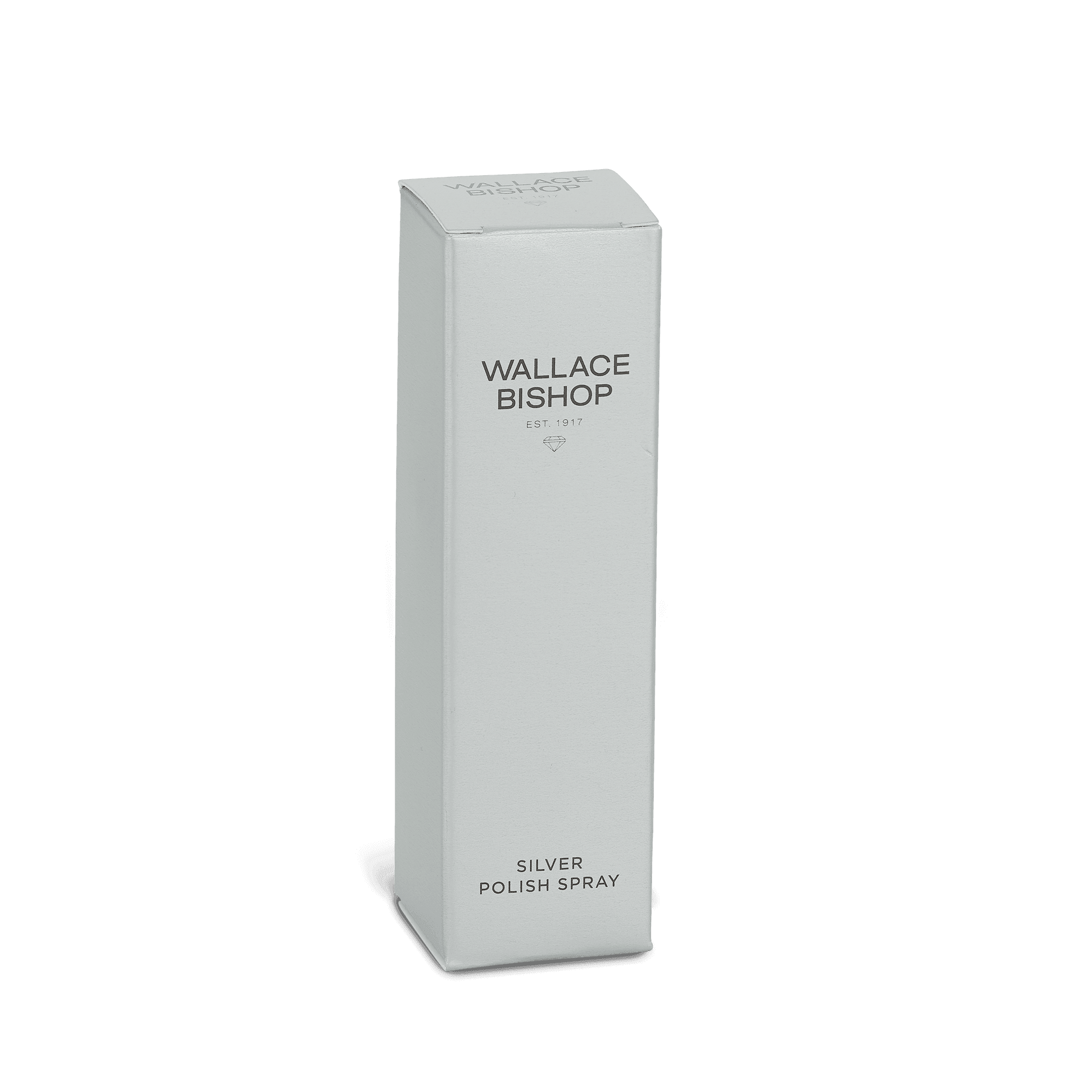 Silver Polish Spray