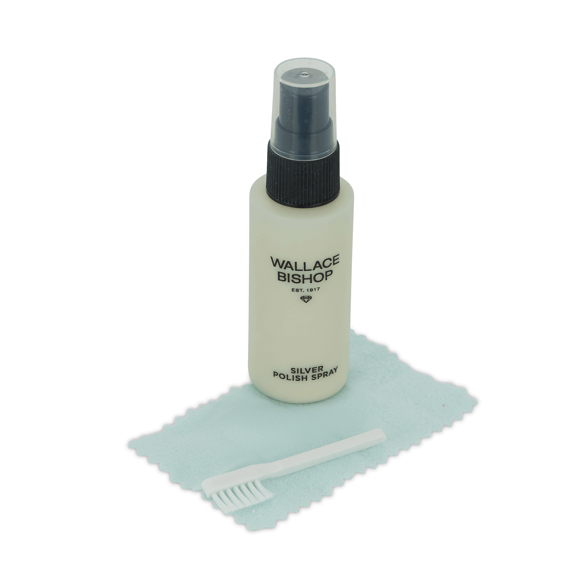 Silver Polish Spray