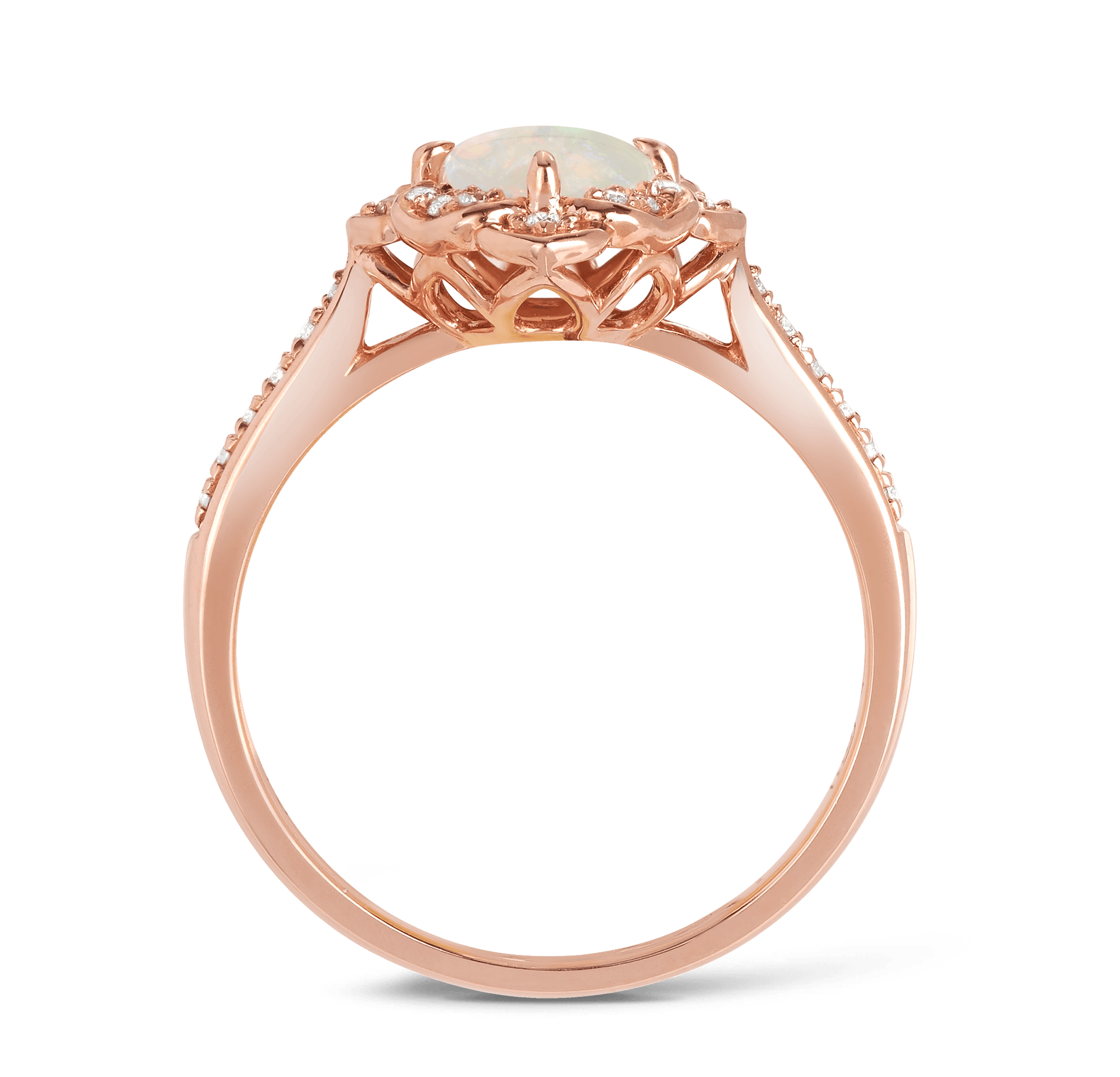 Solid White Opal & Diamond Ring in 9ct Rose Gold - Wallace Bishop