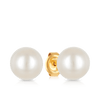 South Sea Pearl Earrings in 18ct Yellow Gold - Wallace Bishop