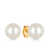 South Sea Pearl Earrings in 18ct Yellow Gold