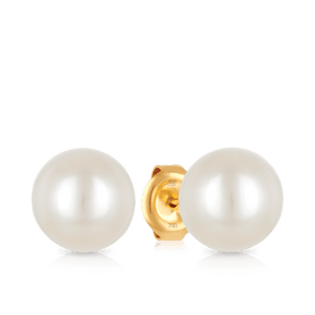 South Sea Pearl Earrings in 18ct Yellow Gold - Wallace Bishop