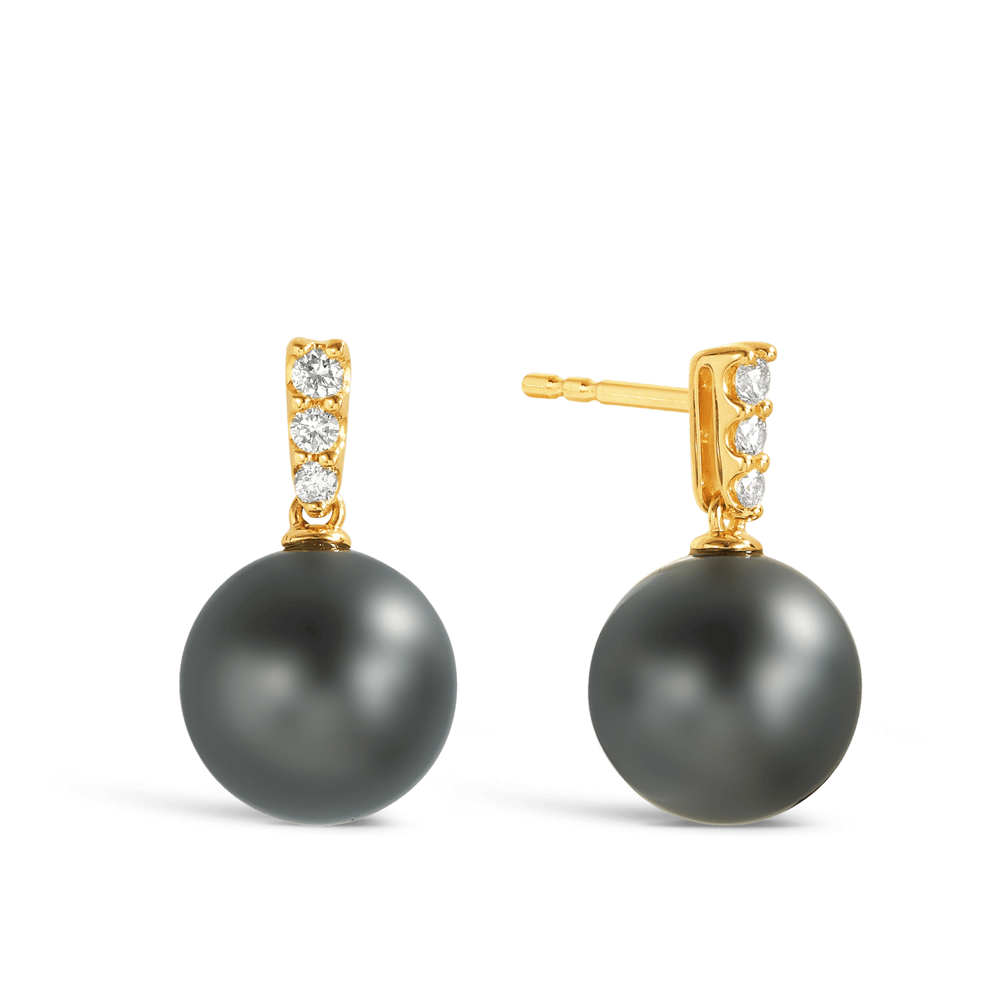 Tahitian Pearl & Diamond Bail Drop Earrings in 9ct Yellow Gold