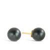 Tahitian Pearl Stud Earrings in 9ct Yellow Gold