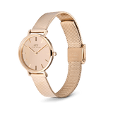 Daniel Wellington Petite Reflection Rose Gold Watch