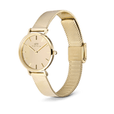 Daniel Wellington Petite Reflection Gold Watch