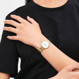 Person Wearing Gold Daniel Wellington Watch