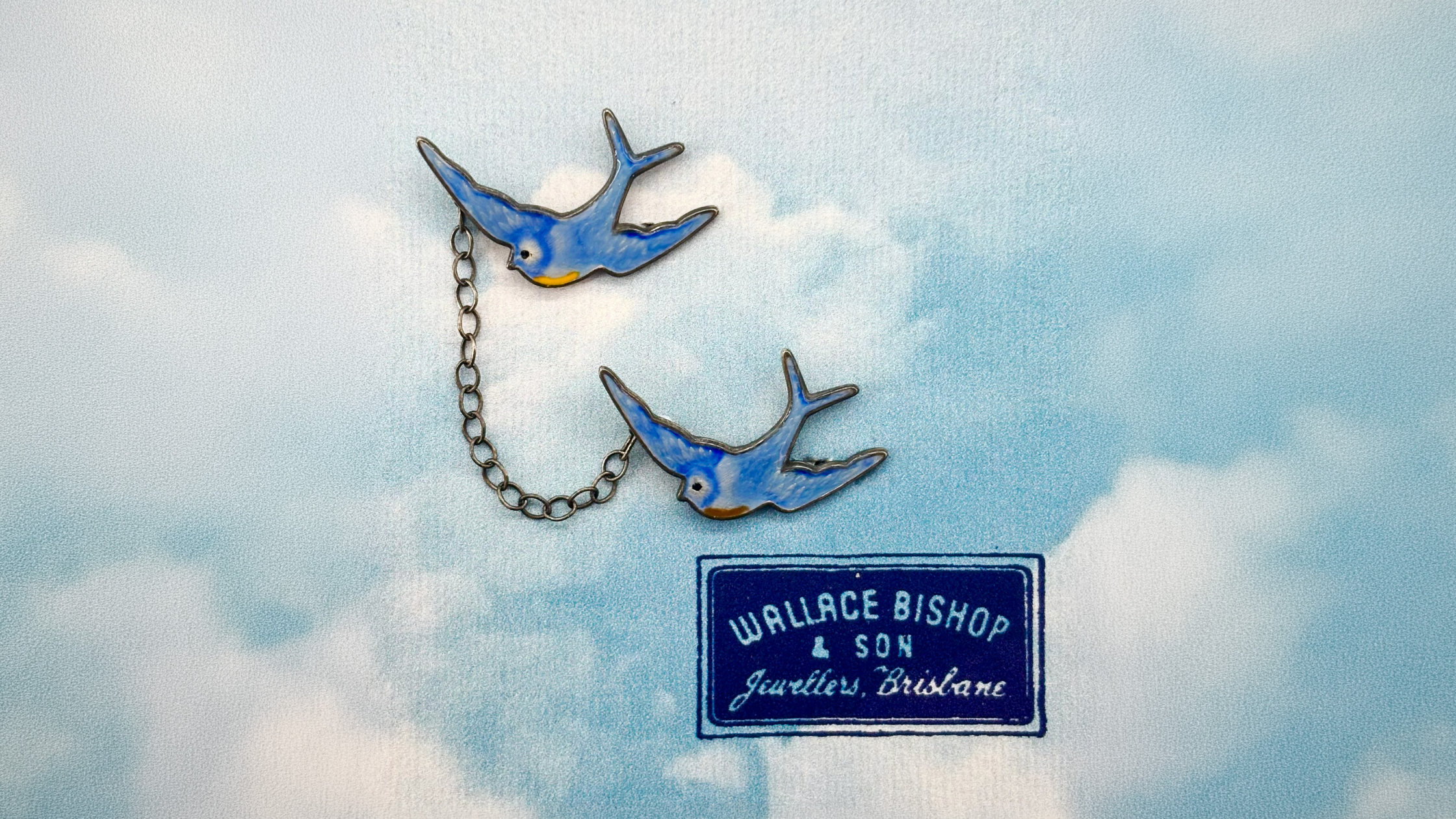 Our Bluebird of Happiness Story