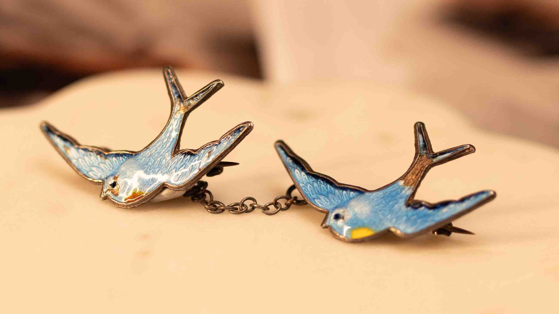 Savanna's Bluebird of Happiness Story