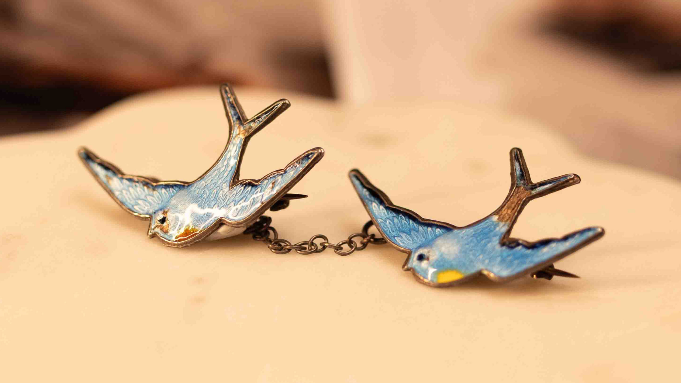 Our Bluebird of Happiness Story