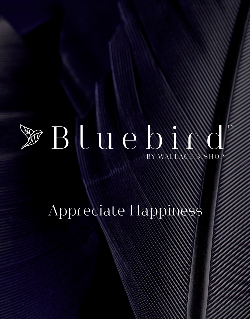 NEW | Bluebird™ Collection - Wallace Bishop