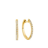 0.15ct TW Diamond Hoop Earrings in 9ct Yellow Gold