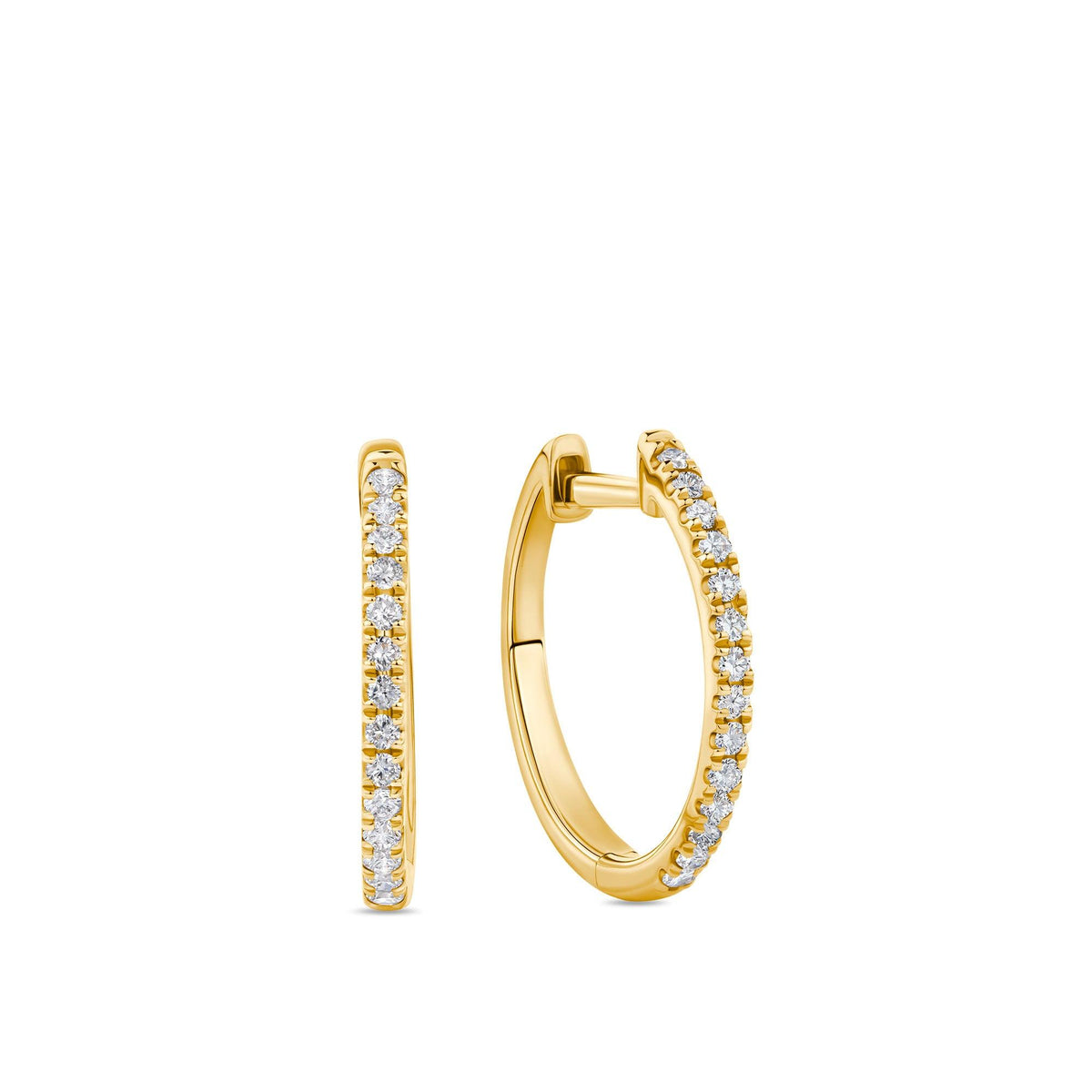 0.15ct TW Diamond Hoop Earrings in 9ct Yellow Gold - Wallace Bishop
