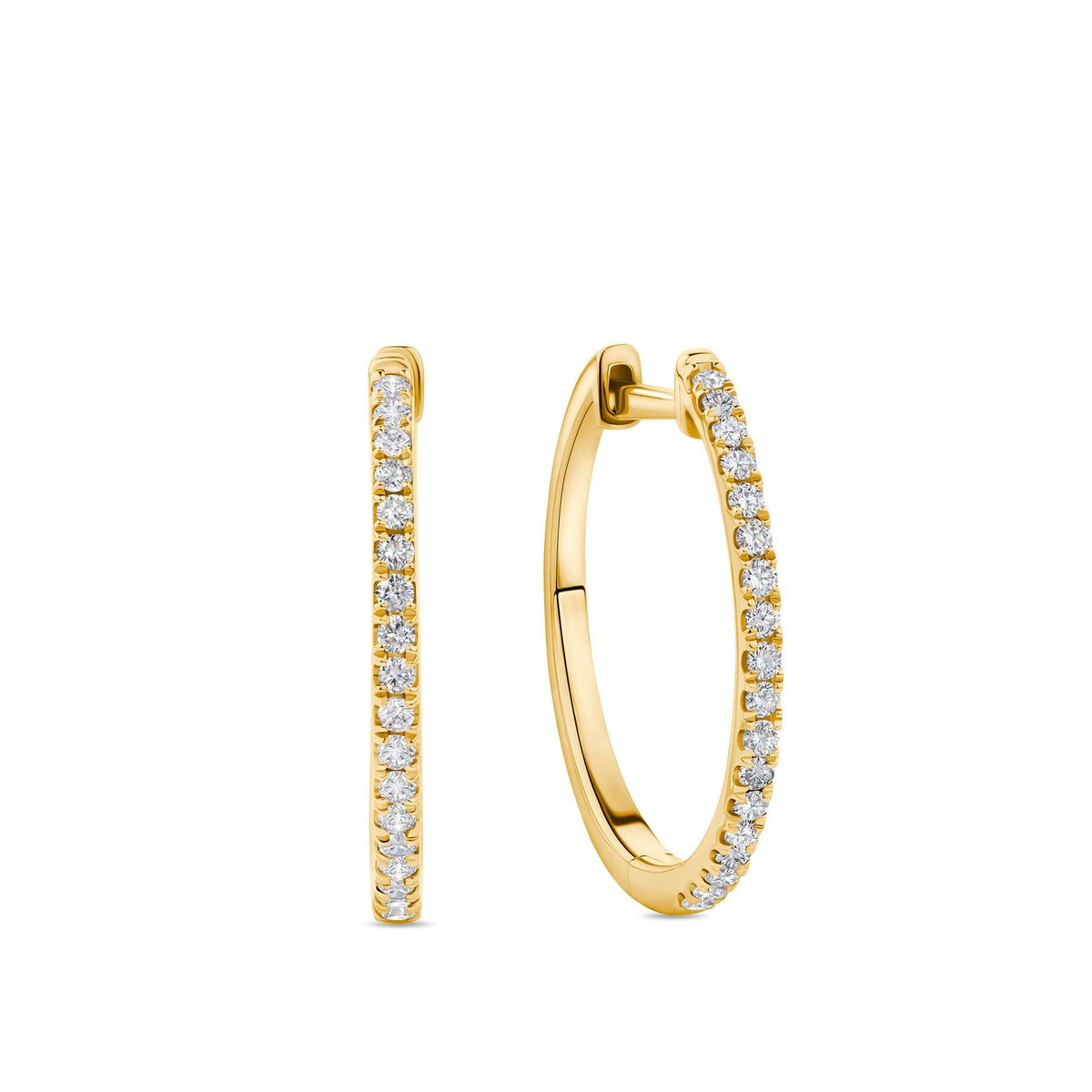 0.25ct TW Diamond Hoop Earrings in 9ct Yellow Gold - Wallace Bishop