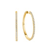 0.50ct TW Diamond Hoop Earrings in 9ct Yellow Gold