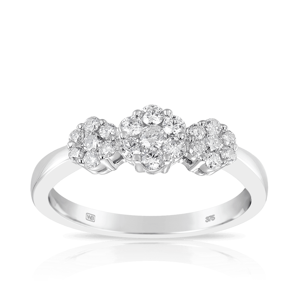 0.50ct TW Round Brilliant Cut Halo Engagement Ring in 9ct White Gold - Wallace Bishop