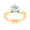 1.00ct Solitaire Diamond Engagement Ring in 18ct Yellow and White Gold - Wallace Bishop