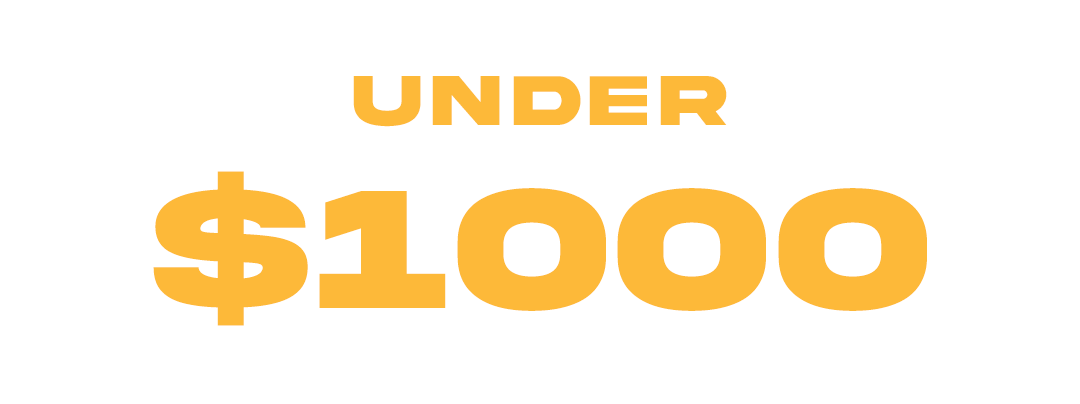 Black Friday Under $1000
