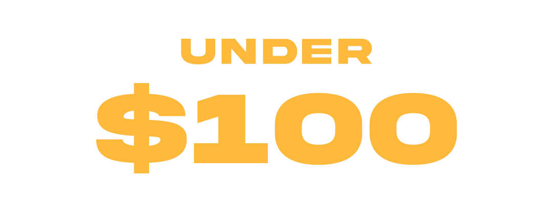 Black Friday Under $100