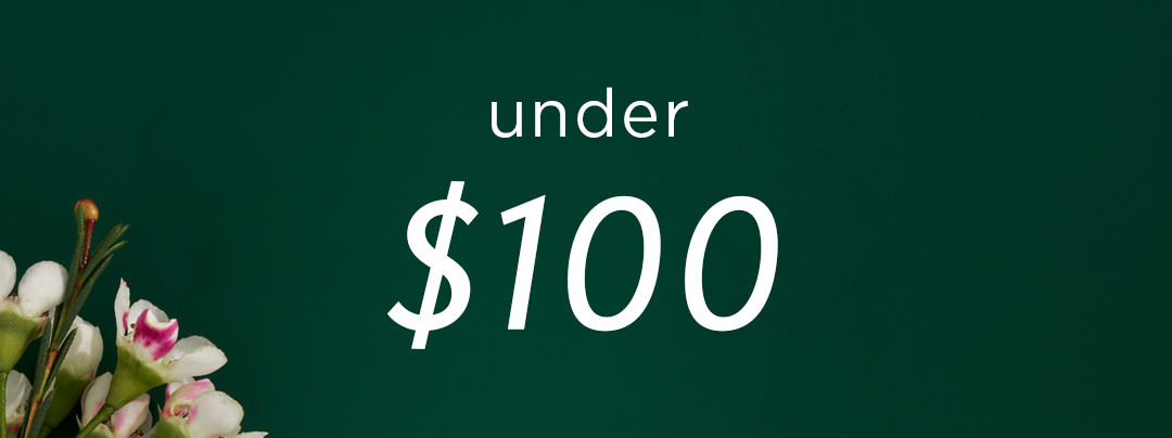Gifts Under $100