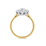1917™ 0.56ct TW Diamond Flower Halo Engagement Ring in 18ct Yellow and White