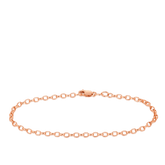 19cm Solid Belcher Link Bracelet in 9ct Rose Gold - Wallace Bishop