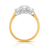 1.00ct TW Round Brilliant Cut Diamond Three Stone Engagement Ring in 18ct Yellow Gold