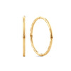 Large Solid Sleepers in 9ct Yellow Gold