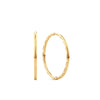 Medium Solid Sleepers in 9ct Yellow Gold