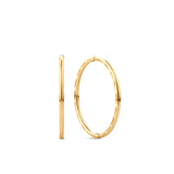 Medium Solid Sleepers in 9ct Yellow Gold