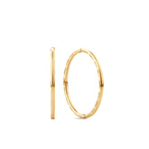 Medium Solid Sleepers in 9ct Yellow Gold