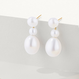 Freshwater Pearl Oval Drop Earrings in 9ct Yellow Gold