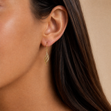 Twist Drop Earrings in 9ct Yellow Gold